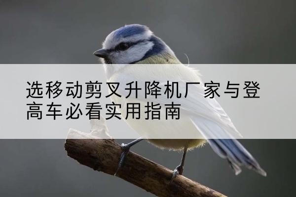 新华电动升降机厂家-选移动剪叉升降机厂家与登高车必看实用指南